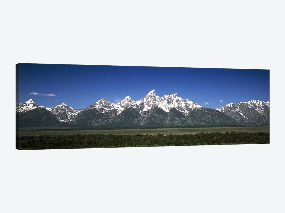 Trees in a forest with mountains in the background, Teton Point Turnout, Teton Range, Grand Teton National Park, Wyoming, USA by Panoramic Images 1-piece Canvas Wall Art