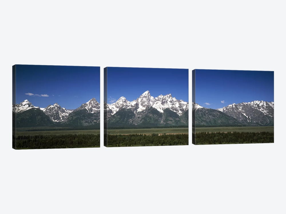 Trees in a forest with mountains in the background, Teton Point Turnout, Teton Range, Grand Teton National Park, Wyoming, USA by Panoramic Images 3-piece Canvas Art