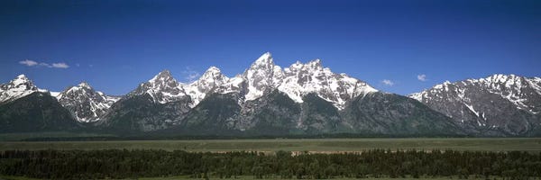 Trees in a forest with mountains in the background, Teton Point Turnout, Teton Range, Grand Teton National Park, Wyoming, USA