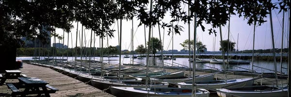 Harbors: Boats moored at a dock, Charles River, Boston, Suffolk County, Massachusetts, USA by Panoramic Images