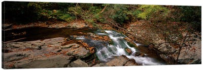 White Water The Great Smoky Mountains TN USA Canvas Art Print - Panoramic Photography