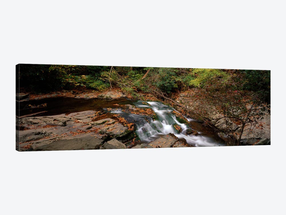 White Water The Great Smoky Mountains TN USA by Panoramic Images 1-piece Canvas Artwork