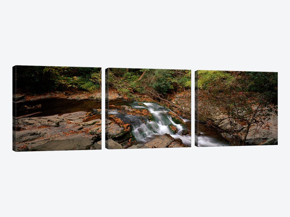White Water The Great Smoky Mountains TN USA by Panoramic Images 3-piece Canvas Art