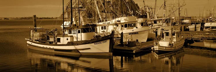 Fishing boats in the sea, Morro Bay, San Luis Obispo County, California, USA