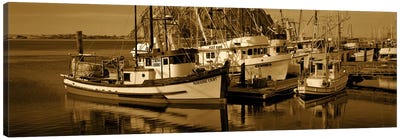Fishing boats in the sea, Morro Bay, San Luis Obispo County, California, USA Canvas Art Print - Sepia Photography