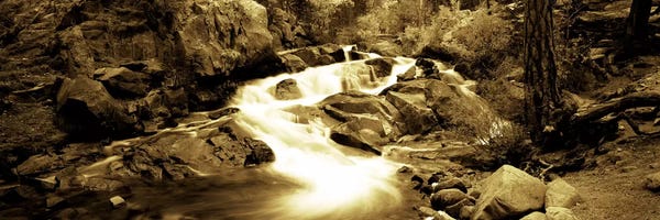 Sepia Photography: Stream flowing through rocks, Lee Vining Creek, Lee Vining, Mono County, California, USA by Panoramic Images