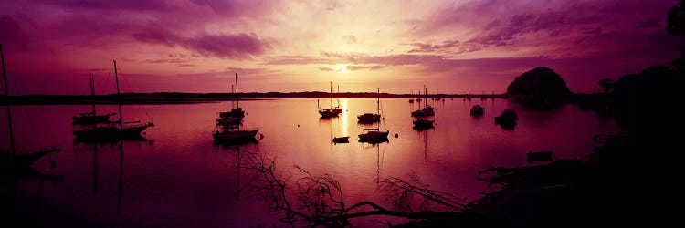 Boats in the sea, Morro Bay, San Luis Obispo County, California, USA by Panoramic Images wall art