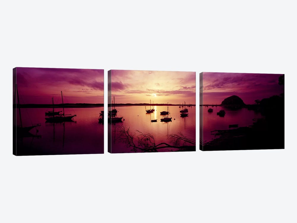Boats in the sea, Morro Bay, San Luis Obispo County, California, USA by Panoramic Images 3-piece Art Print