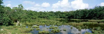 Reflection of clouds in water, Watamu Marine National Park, Watamu, Coast Province, Kenya by Panoramic Images framed canvas print