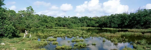 Kenya: Reflection of clouds in water, Watamu Marine National Park, Watamu, Coast Province, Kenya by Panoramic Images