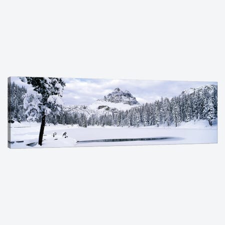 Trees along a frozen lake, Lake Antorno, Tre Cime Di Lavaredo, Dolomites, Cadore, Province of Belluno, Veneto, Italy Canvas Print #PIM7082} by Panoramic Images Canvas Art Print
