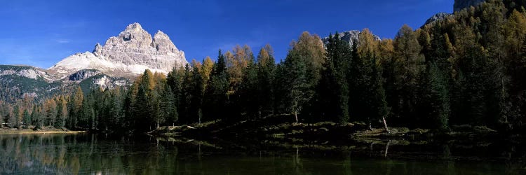 Trees at the lakeside, Lake Misurina, Tre Cime Di Lavaredo, Dolomites, Cadore, Province of Belluno, Veneto, Italy