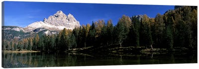 Trees at the lakeside, Lake Misurina, Tre Cime Di Lavaredo, Dolomites, Cadore, Province of Belluno, Veneto, Italy Canvas Art Print - Veneto Art