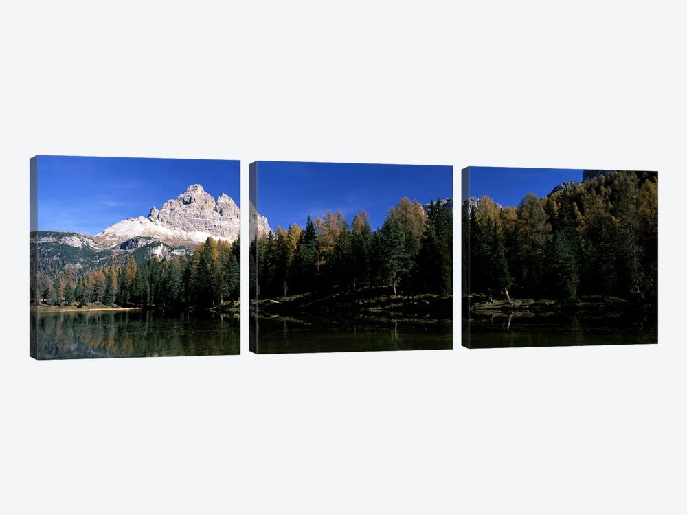 Trees at the lakeside, Lake Misurina, Tre Cime Di Lavaredo, Dolomites, Cadore, Province of Belluno, Veneto, Italy by Panoramic Images 3-piece Canvas Wall Art