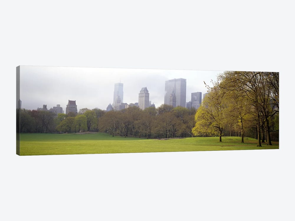 Trees in a park, Central Park, Manhattan, New York City, New York State, USA #3 by Panoramic Images 1-piece Canvas Wall Art