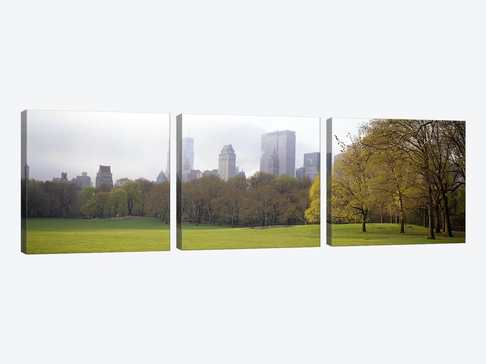 Trees in a park, Central Park, Manhattan, New York City, New York State, USA #3 by Panoramic Images 3-piece Canvas Wall Art