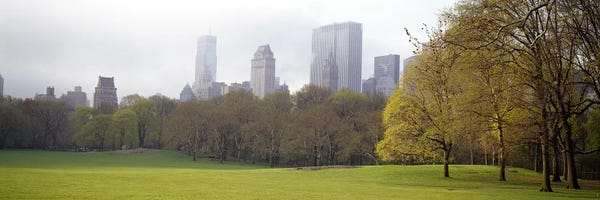 Central Park: Trees in a park, Central Park, Manhattan, New York City, New York State, USA #3 by Panoramic Images