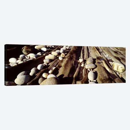 Close-up of stones, Pemaquid, Massachusetts, USA Canvas Print #PIM709} by Panoramic Images Art Print