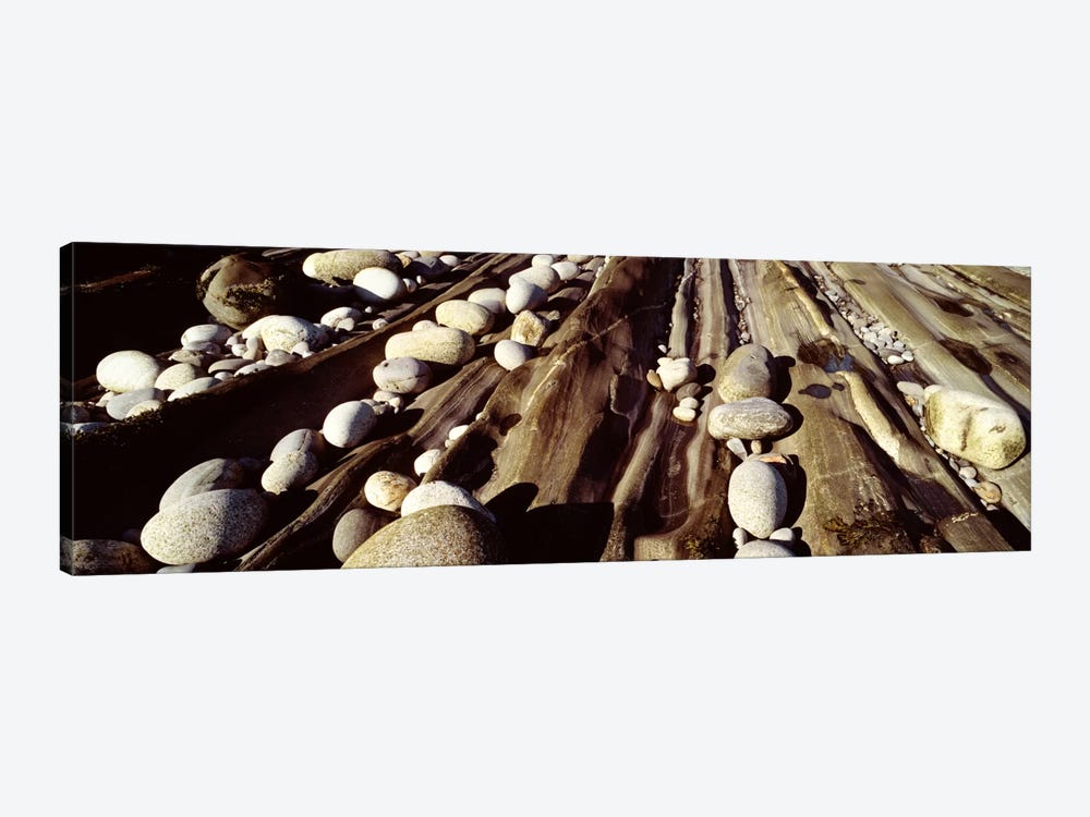 Close-up of stones, Pemaquid, Massachusetts, USA by Panoramic Images 1-piece Canvas Wall Art