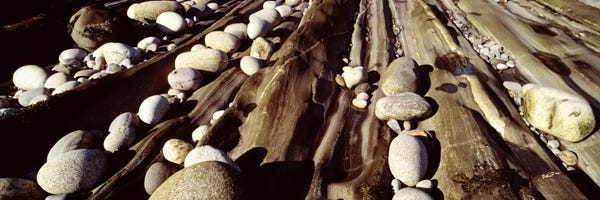 Close-up of stones, Pemaquid, Massachusetts, USA