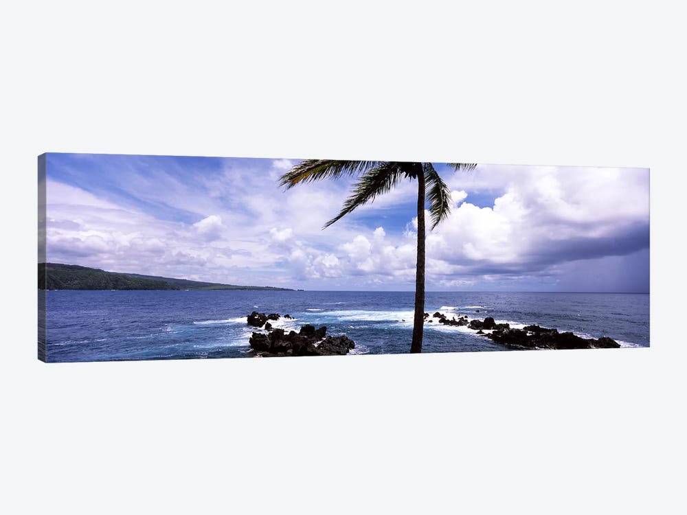 Palm tree on the coast, Honolulu Nui Bay, Nahiku, Maui, Hawaii, USA by Panoramic Images 1-piece Art Print
