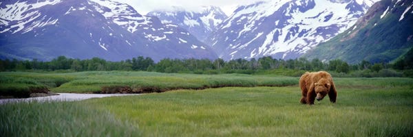 Katmai National Park