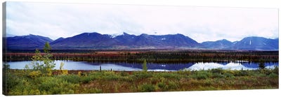 Lake with a mountain range in the background, Mt McKinley, Denali National Park, Anchorage, Alaska, USA Canvas Art Print - Alaska Art