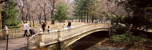 Central Park: Group of people walking on an arch bridgeCentral Park, Manhattan, New York City, New York State, USA by Panoramic Images