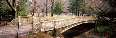 Arch bridge in a parkCentral Park, Manhattan, New York City, New York State, USA by Panoramic Images acrylic art print