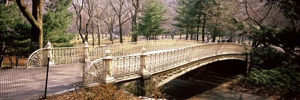 Central Park: Arch bridge in a parkCentral Park, Manhattan, New York City, New York State, USA by Panoramic Images