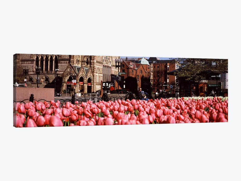 Tulips in a garden with Old South Church in the backgroundCopley Square, Boston, Suffolk County, Massachusetts, USA by Panoramic Images 1-piece Canvas Artwork