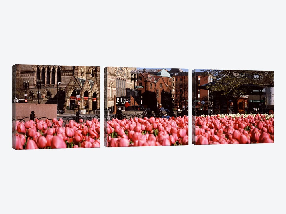 Tulips in a garden with Old South Church in the backgroundCopley Square, Boston, Suffolk County, Massachusetts, USA by Panoramic Images 3-piece Canvas Wall Art
