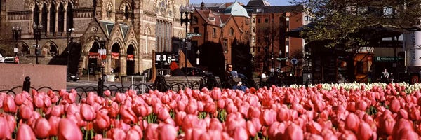 Places Of Worship: Tulips in a garden with Old South Church in the backgroundCopley Square, Boston, Suffolk County, Massachusetts, USA by Panoramic Images