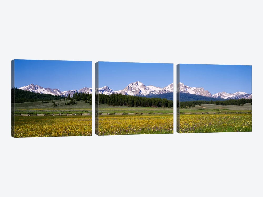 Sawtooth Range, Sawtooth Wilderness, Sawtooth National Recreation Area, Idaho, USA by Panoramic Images 3-piece Canvas Art