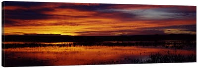 Majestic Cloudy Sunrise, Bosque del Apache National Wildlife Refuge, Socorro County, New Mexico, USA Canvas Art Print - Mist & Fog Art
