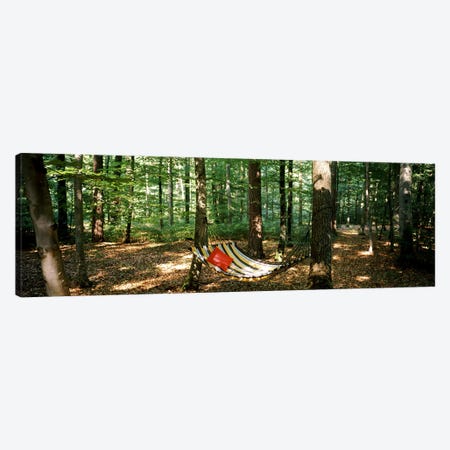 Hammock in a forest, Baden-Wurttemberg, Germany Canvas Print #PIM7166} by Panoramic Images Canvas Art Print