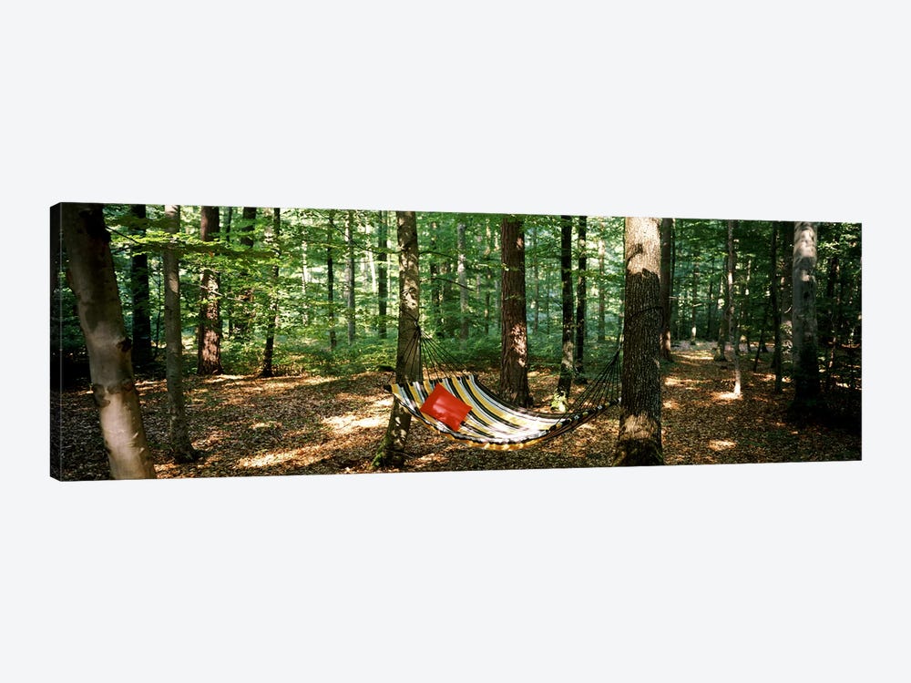 Hammock in a forest, Baden-Wurttemberg, Germany by Panoramic Images 1-piece Art Print