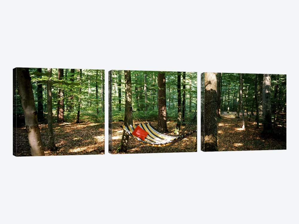 Hammock in a forest, Baden-Wurttemberg, Germany by Panoramic Images 3-piece Art Print