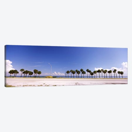 Palm trees at the roadside, Interstate 275, Tampa Bay, Gulf of Mexico, Florida, USA Canvas Print #PIM7168} by Panoramic Images Canvas Wall Art