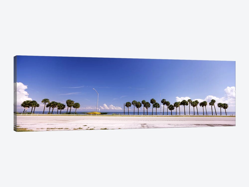 Palm trees at the roadside, Interstate 275, Tampa Bay, Gulf of Mexico, Florida, USA by Panoramic Images 1-piece Canvas Print