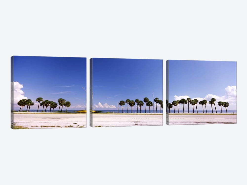 Palm trees at the roadside, Interstate 275, Tampa Bay, Gulf of Mexico, Florida, USA by Panoramic Images 3-piece Canvas Art Print