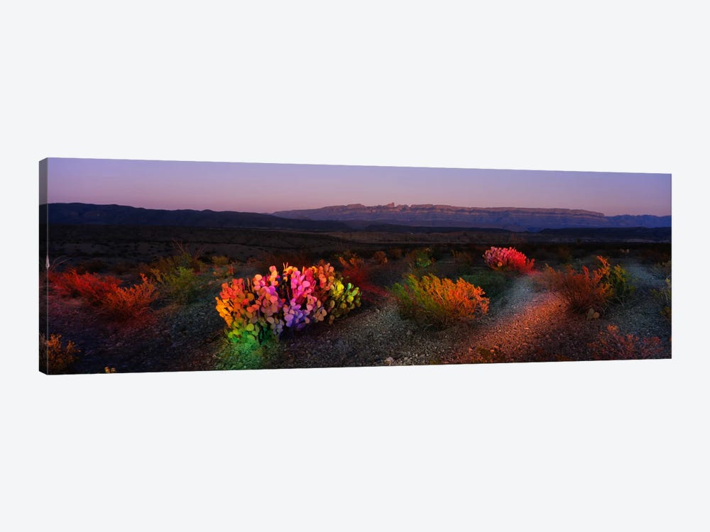 Colorful Desert Landscape, Big Bend National Park, Texas, USA by Panoramic Images 1-piece Canvas Art