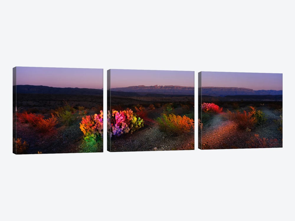 Colorful Desert Landscape, Big Bend National Park, Texas, USA by Panoramic Images 3-piece Canvas Wall Art