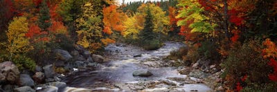 Nova Scotia