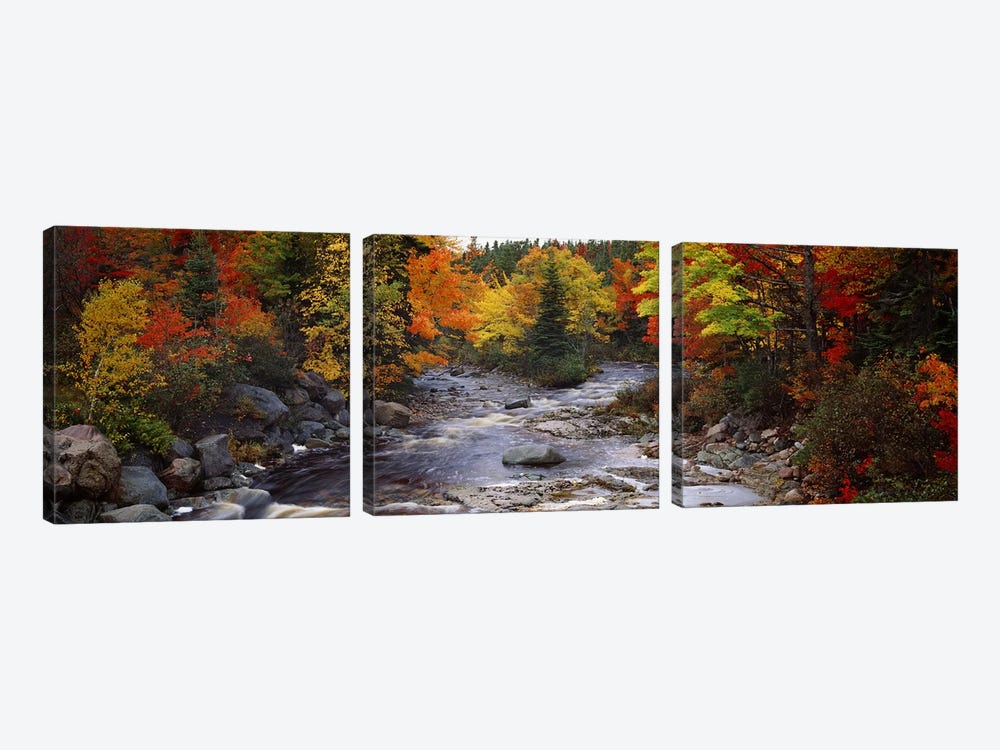 Stream with trees in a forest in autumn, Nova Scotia, Canada 3-piece Canvas Art Print