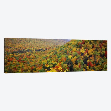 Mountain forest in autumnNova Scotia, Canada Canvas Print #PIM7214} by Panoramic Images Canvas Print
