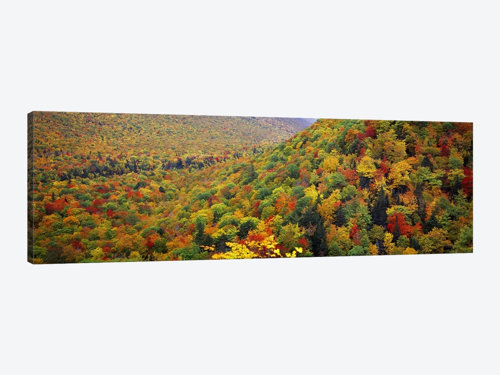 Mountain forest in autumnNova Scotia, Canada by Panoramic Images 1-piece Canvas Art