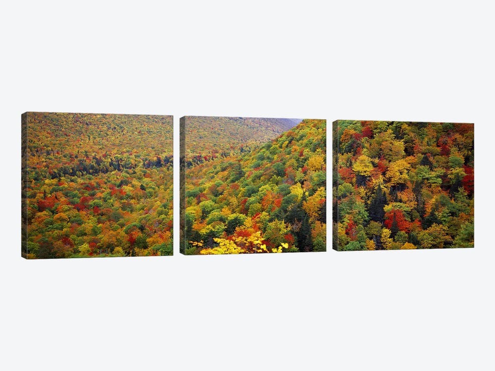 Mountain forest in autumnNova Scotia, Canada by Panoramic Images 3-piece Canvas Artwork