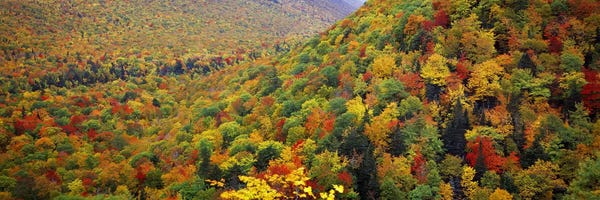 Nova Scotia: Mountain forest in autumnNova Scotia, Canada by Panoramic Images