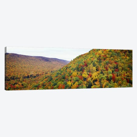 Mountain forest in autumnNova Scotia, Canada Canvas Print #PIM7215} by Panoramic Images Art Print